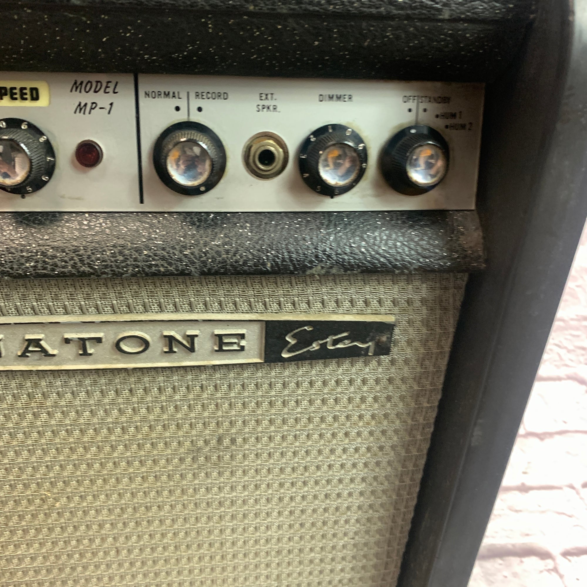 Magnatone Estey MP-1 Guitar Combo Amp