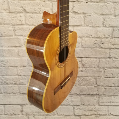 Lone Star ZAPATA Acoustic Guitar