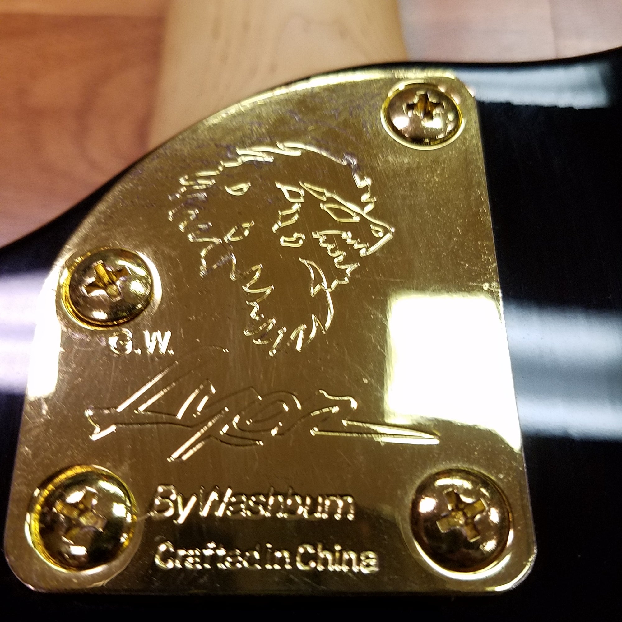 Lyon J. Trohman / Fall Out Boy Signed Electric
