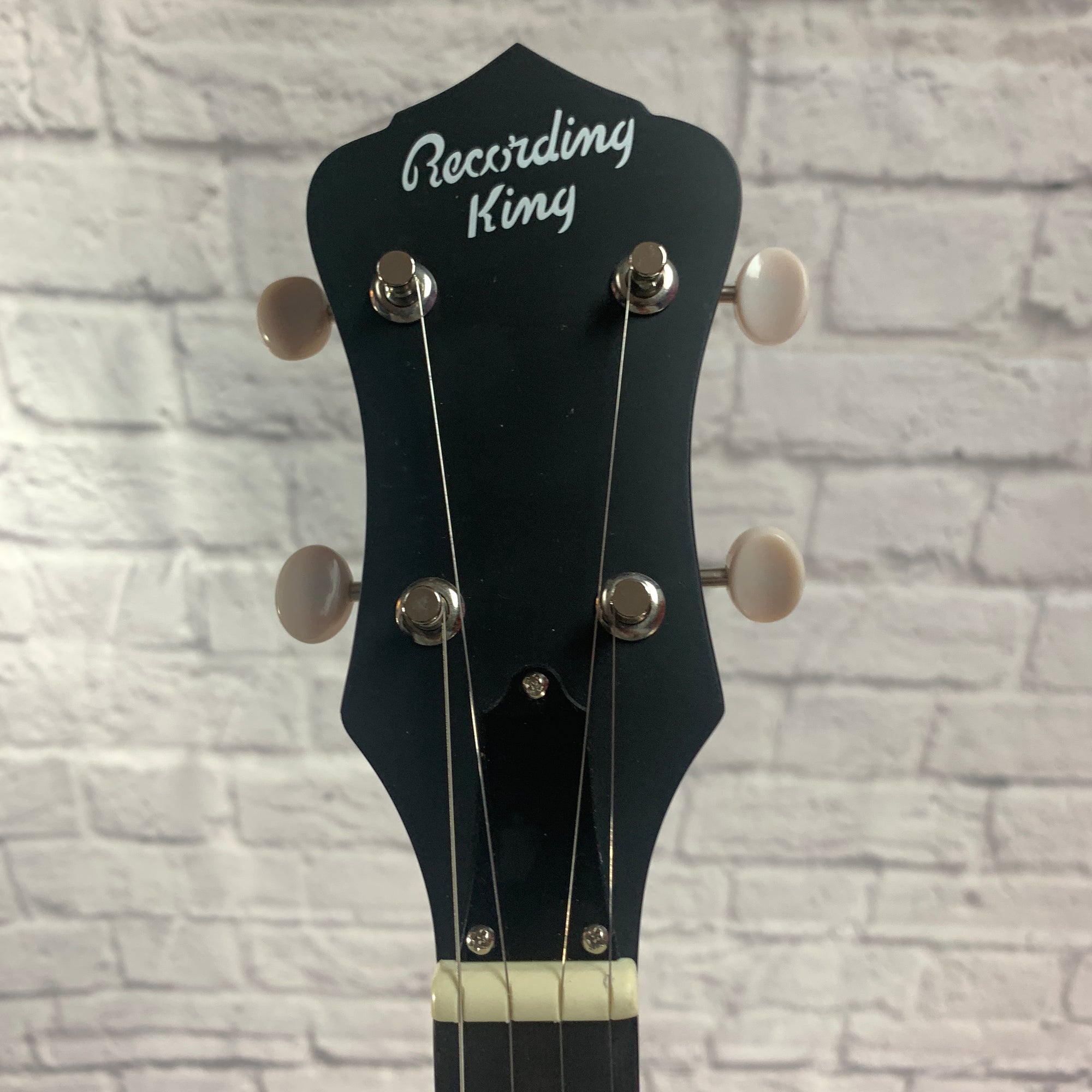 Recording King RKOH-06 Banjo
