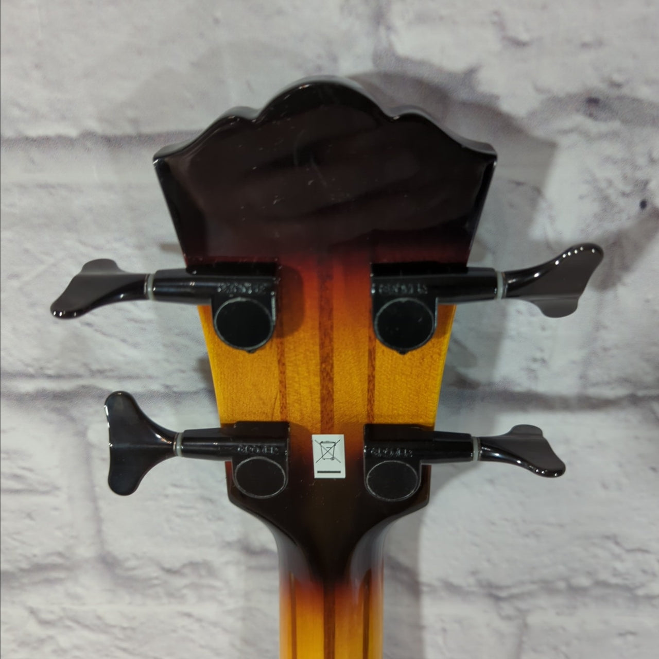 Washburn AB-40 Acoustic Bass w/ Case