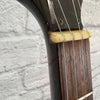 Telestar 5 String Tenor  Banjo Project with Case