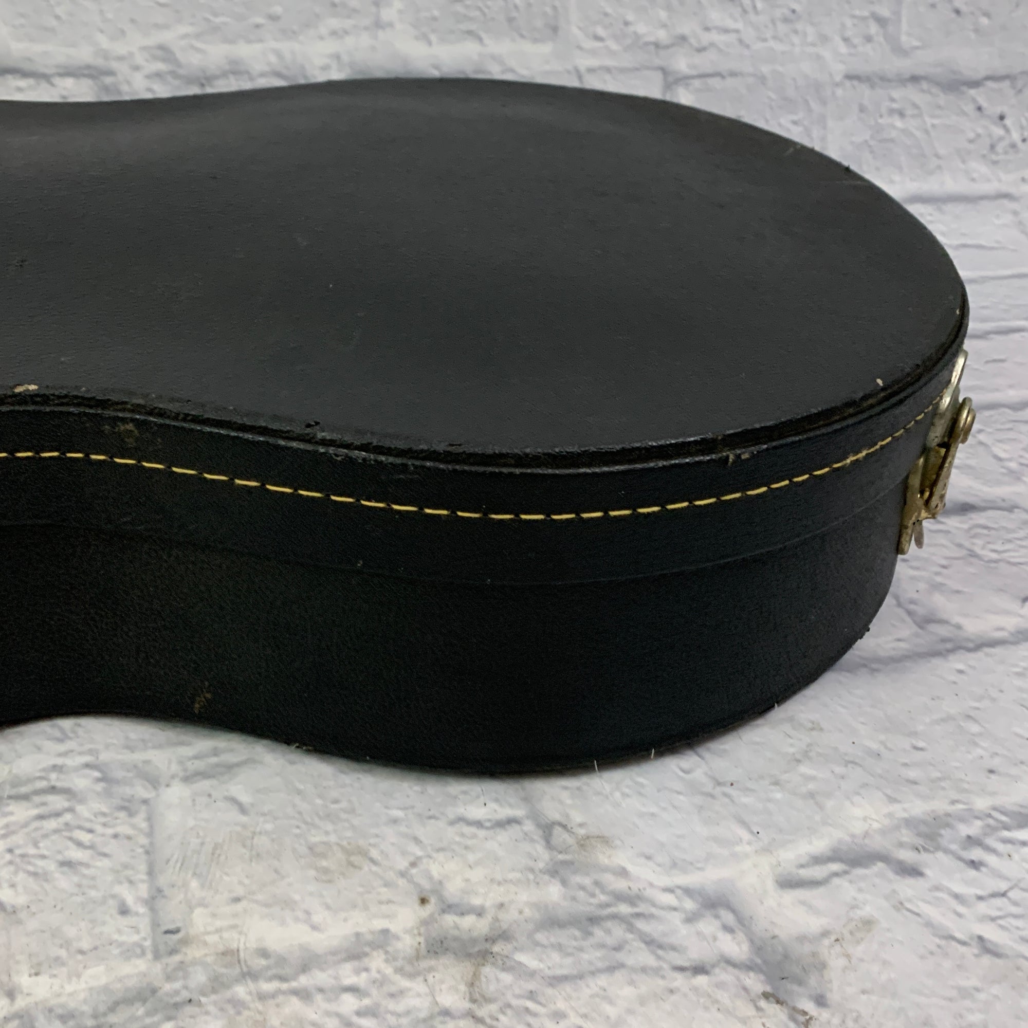 Unknown Semi-Hollow Body Guitar Hardshell Case