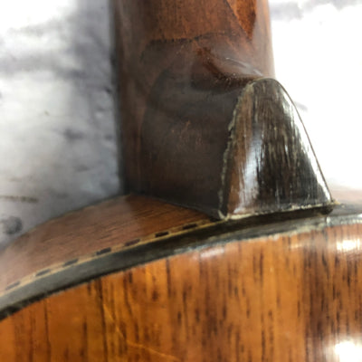 Mele Mahogany Standard Concert Pineapple Ukulele