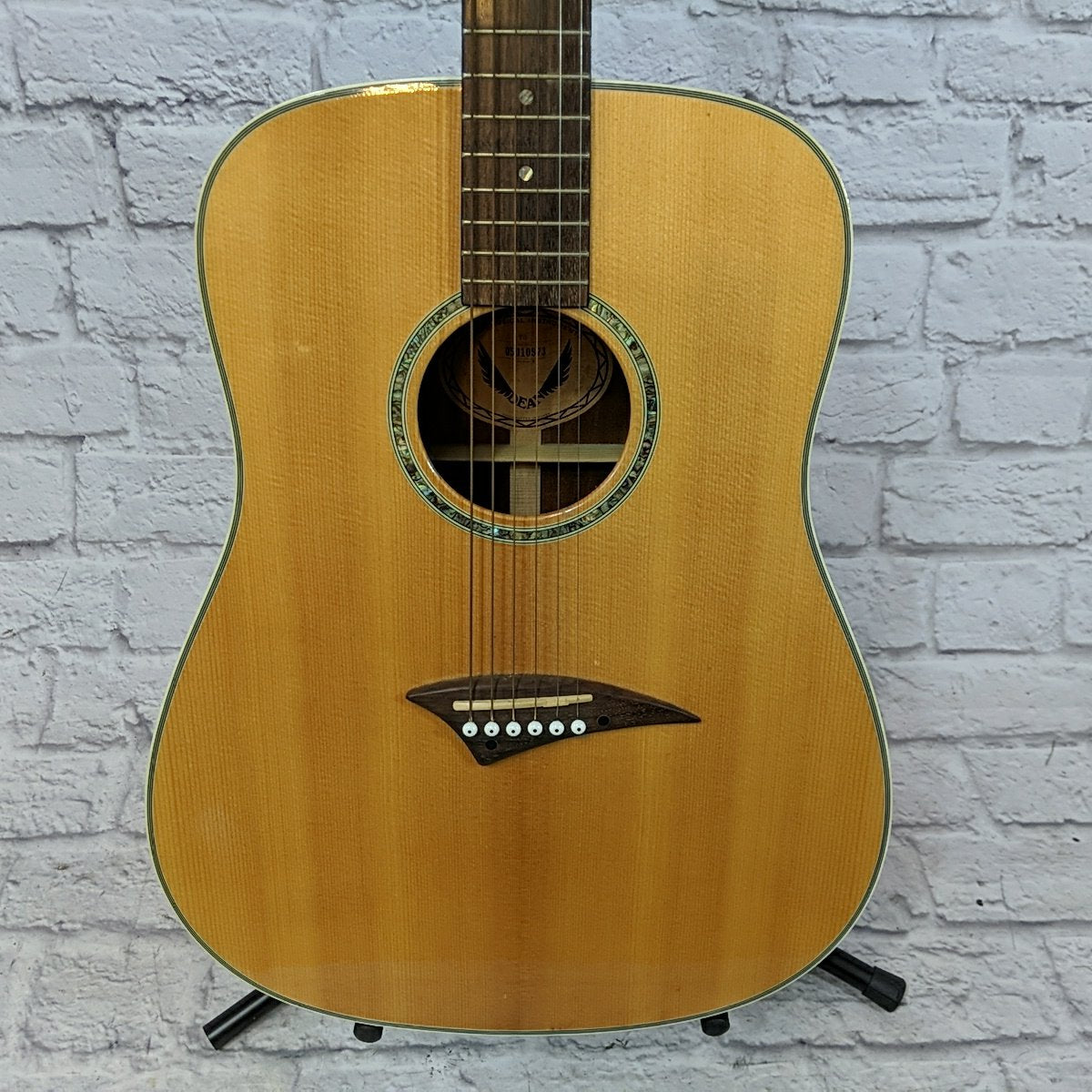 Dean TS Acoustic Guitar