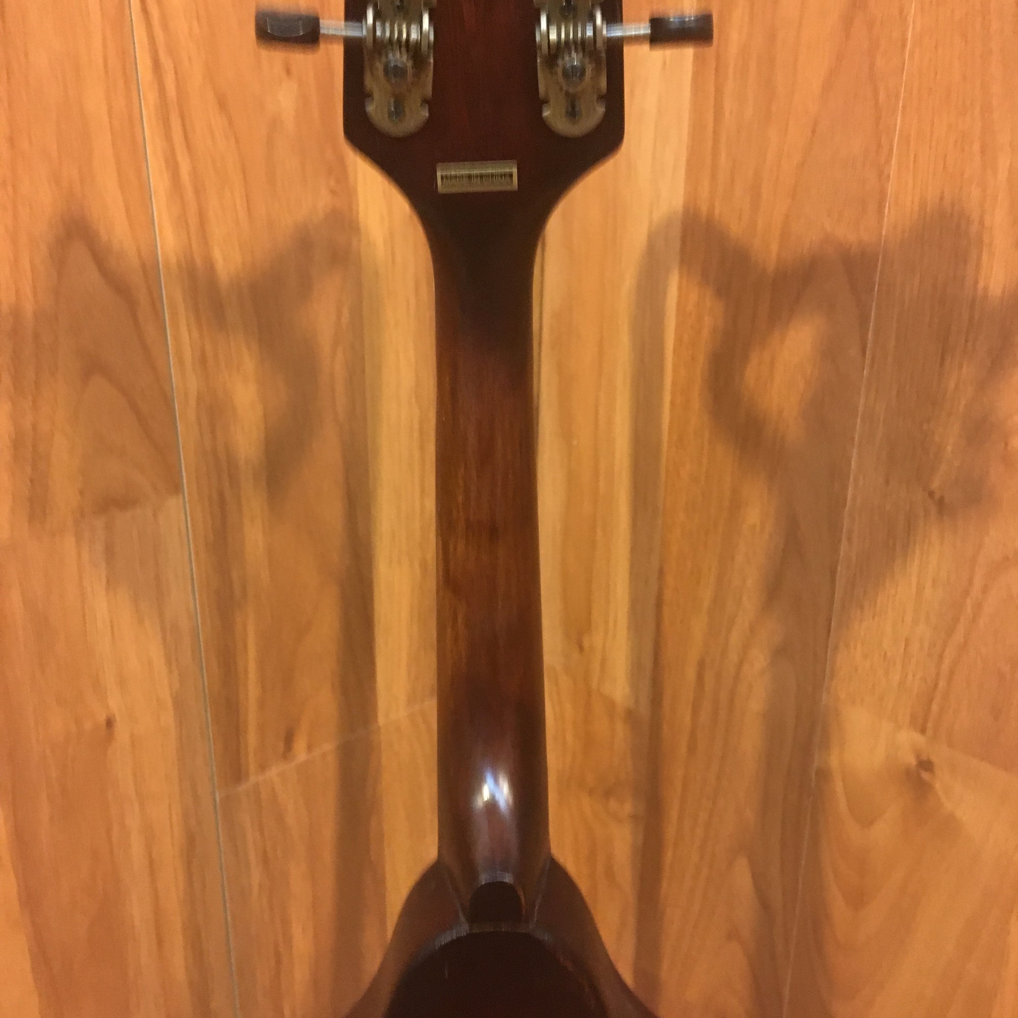 Morgan Monroe Mdam 300 Mandolin