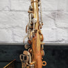 Selmer Bundy Alto Saxophone in Alpine Case