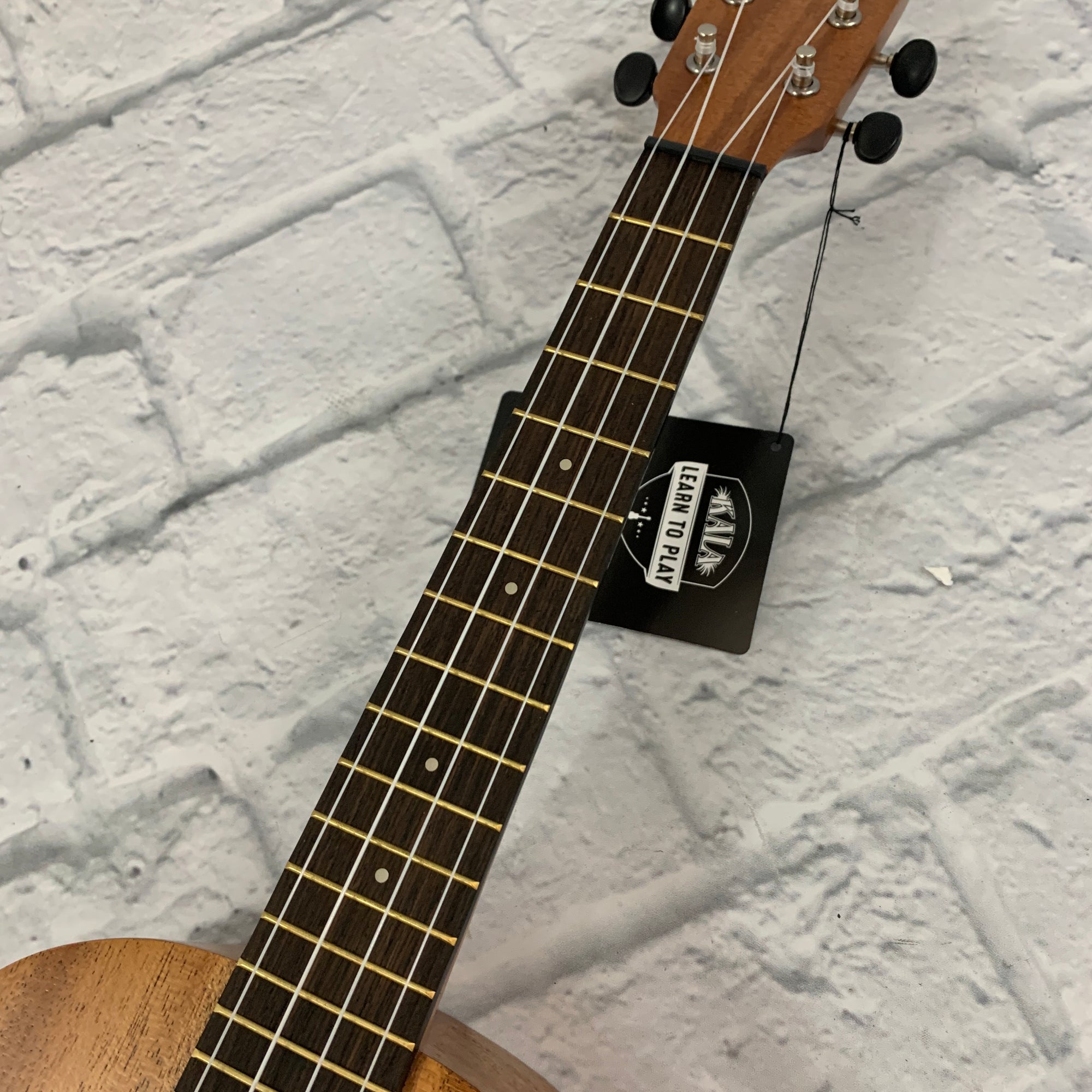 Kala Learn To Play Ukulele Tenor Starter Kit