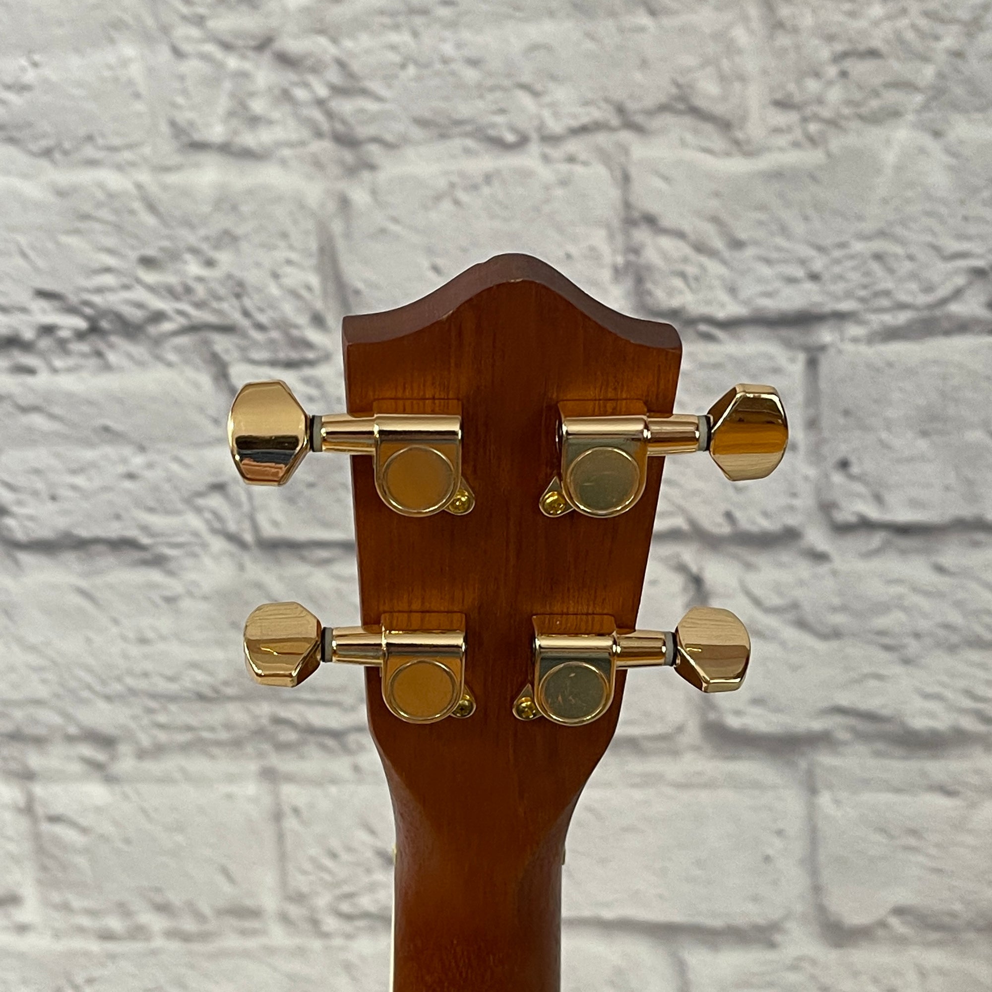 Lanikai LU22CGC Ukulele