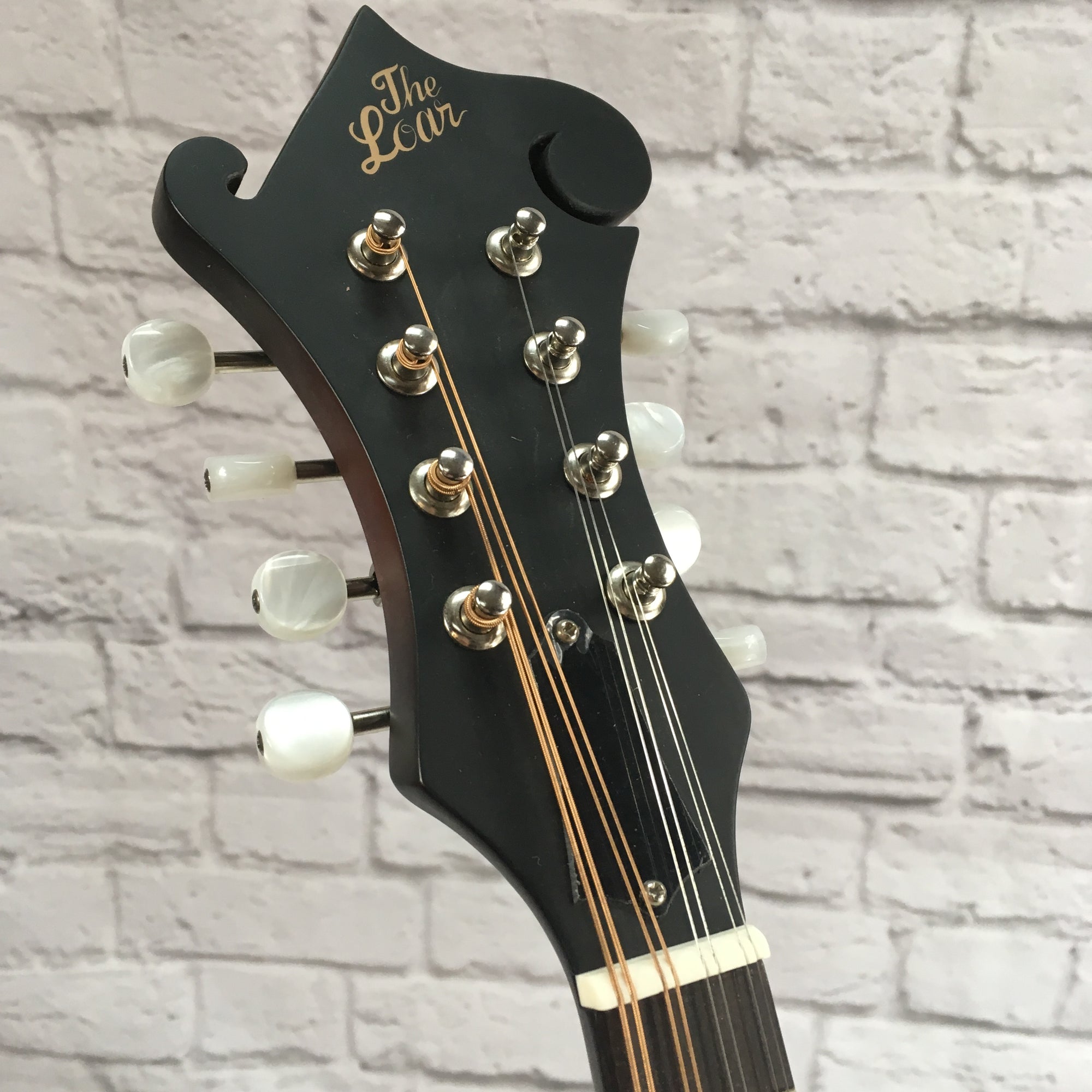 Loar LM-310F F Style Mandolin