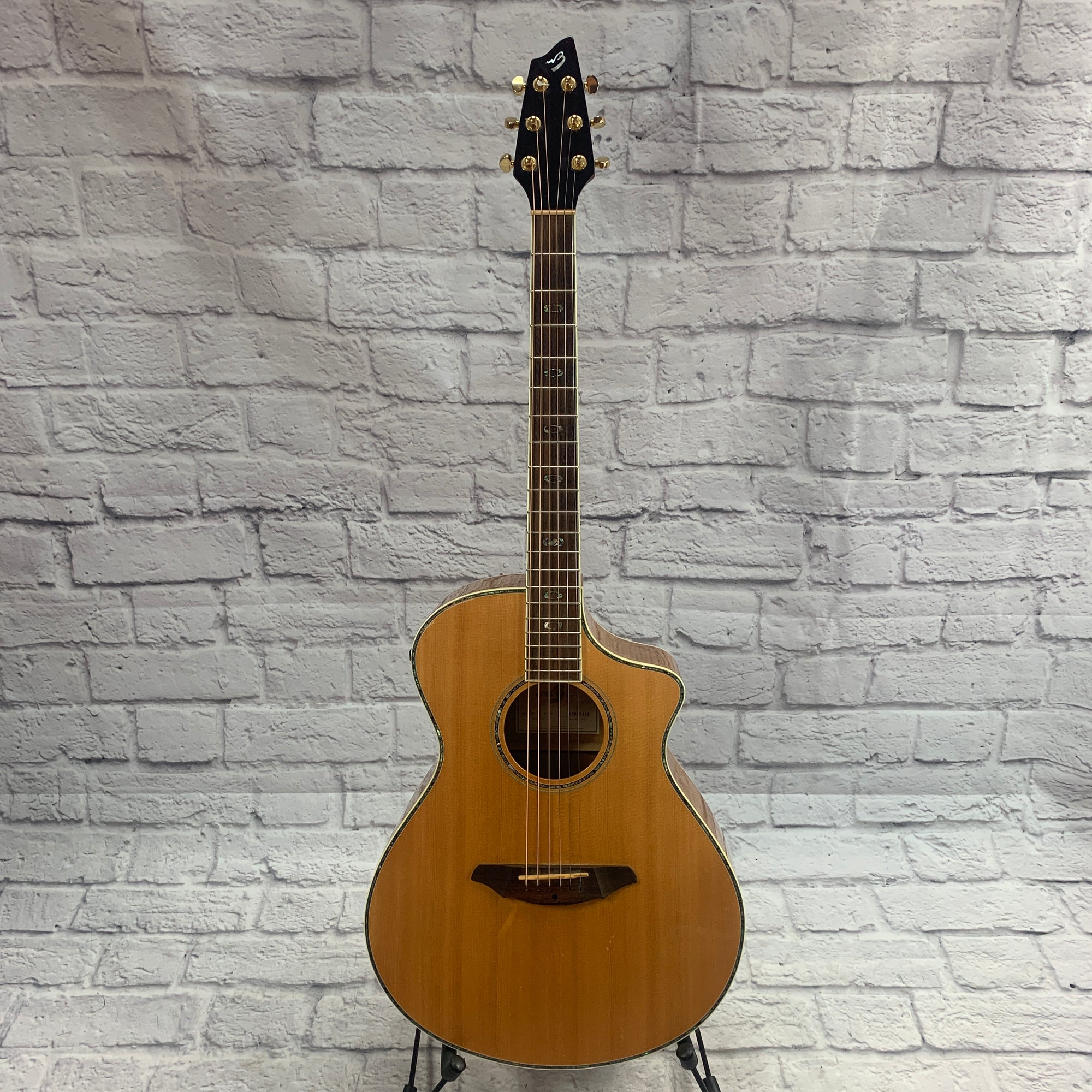 Breedlove AC250/SF Plus w/ Original Case