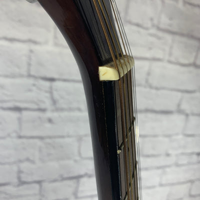Rogue RA 100D Acoustic Guitar