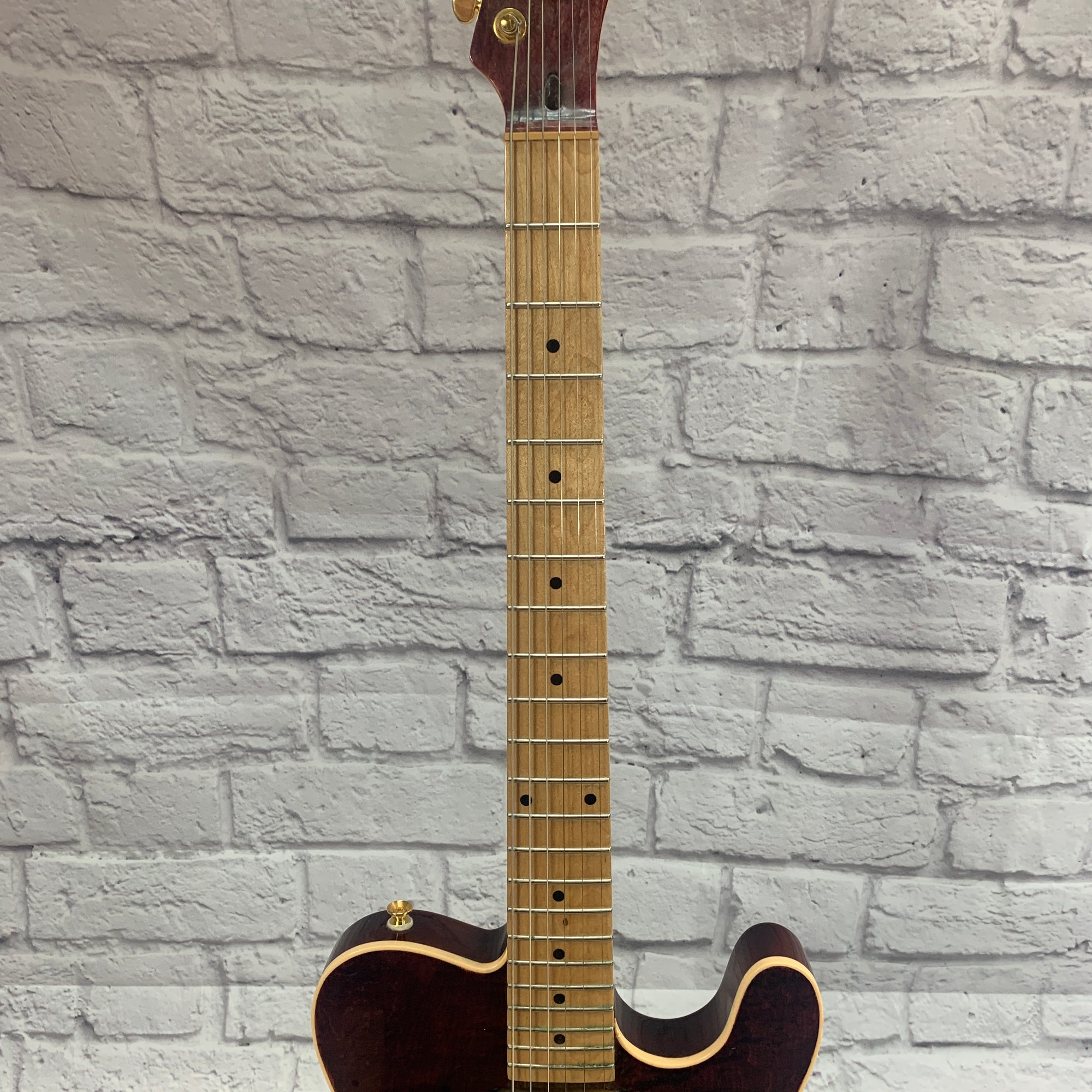 Gatto Tele Style Electric Guitar w/ Roadrunner Hard Case