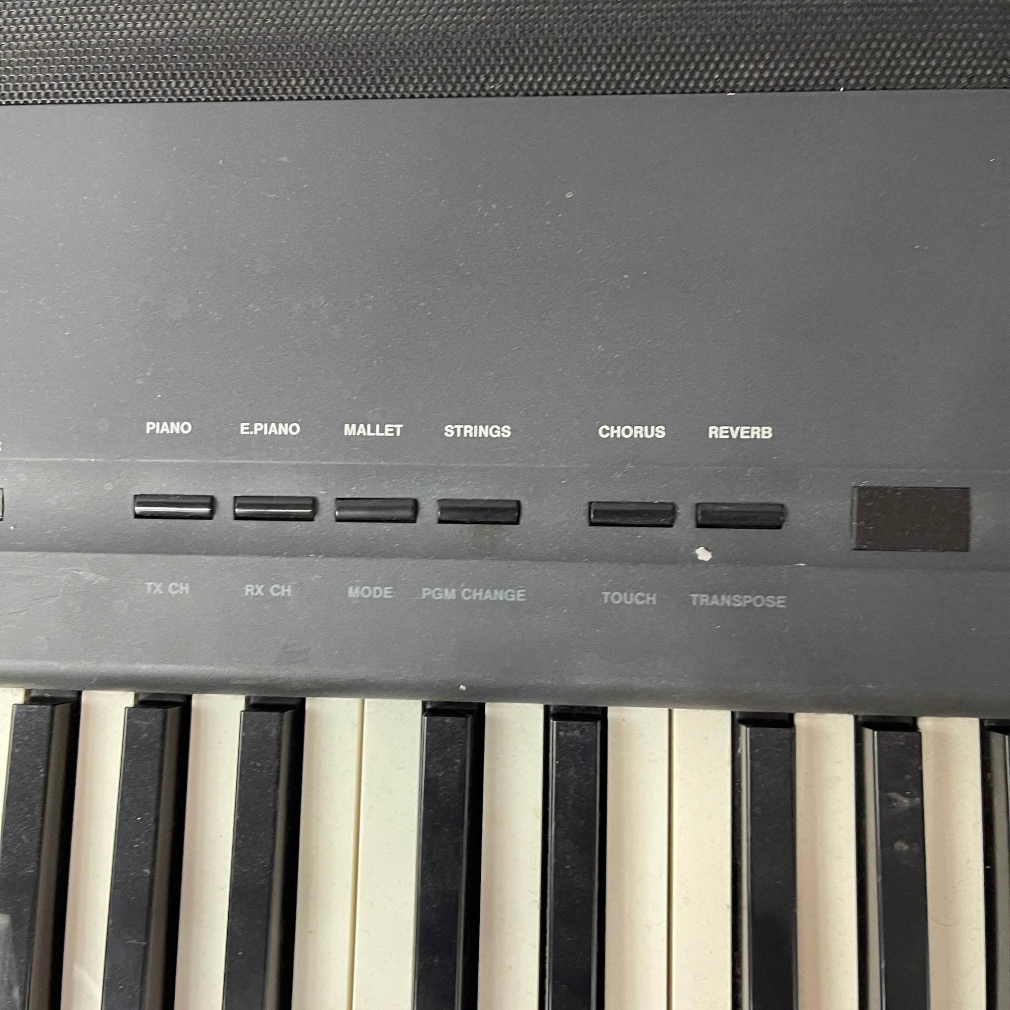 Roland FP-8 Synthesis Digital Piano