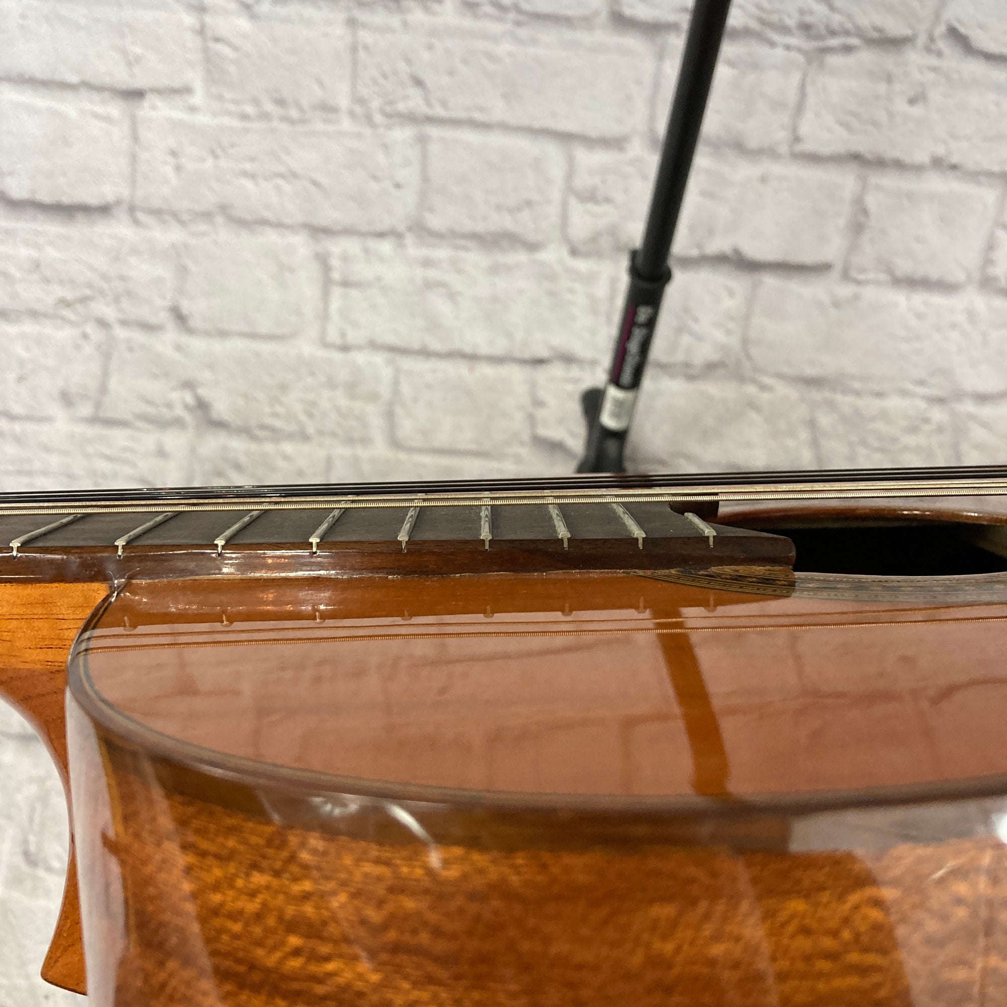 Pavan TP-10 Classical Acoustic Guitar