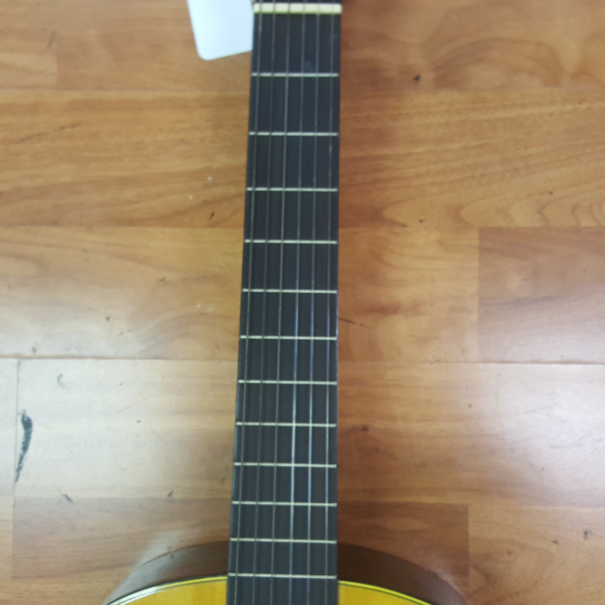 Ibanez GA30GY Classical Acoustic