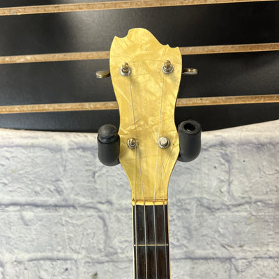Unknown Antique Banjo