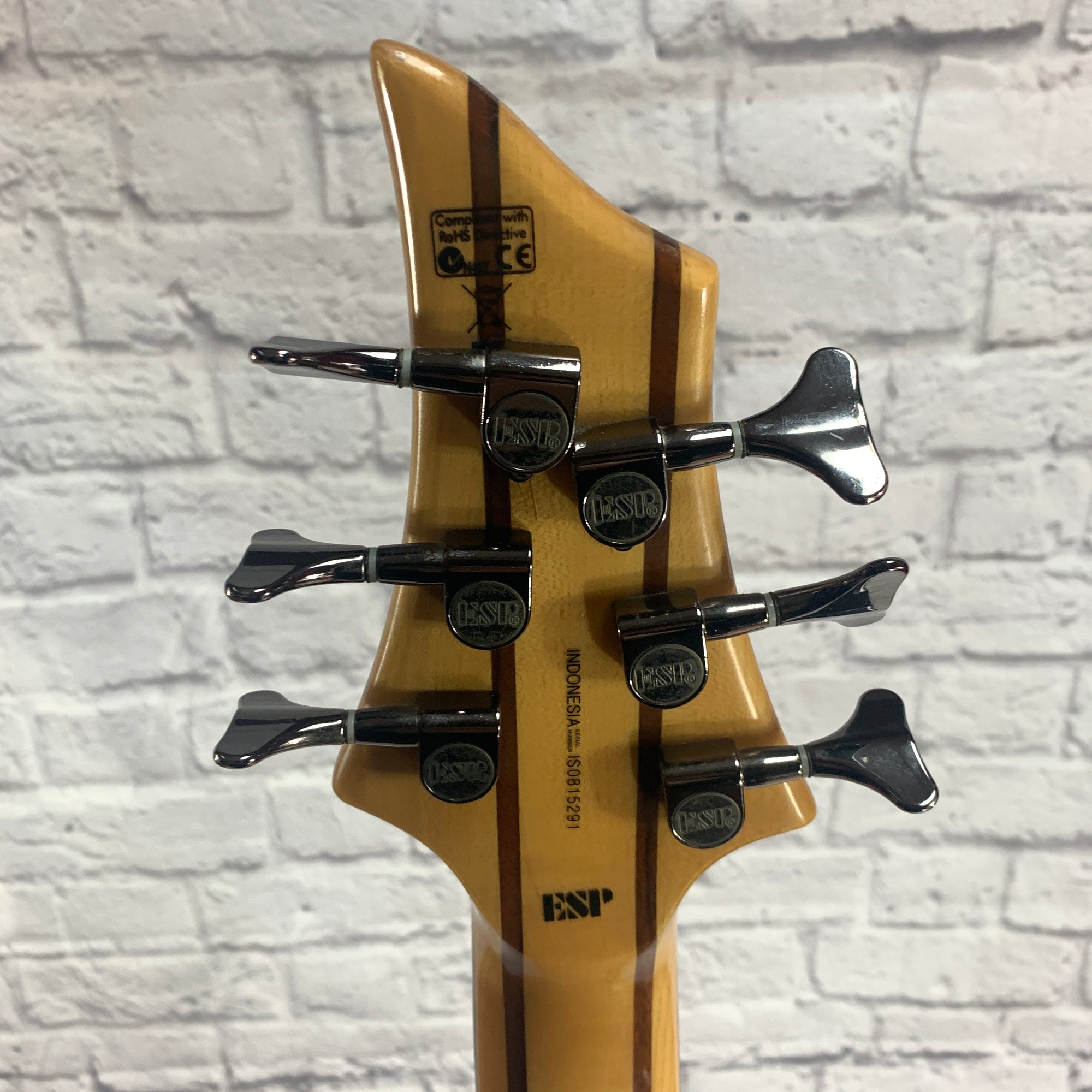 LTD B206FM 6 String Bass with Flame Top