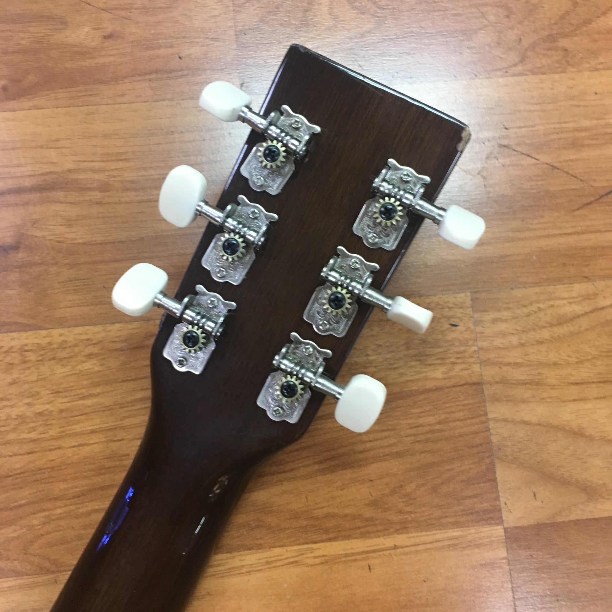 Johnson JG-100 WL Acoustic Guitar