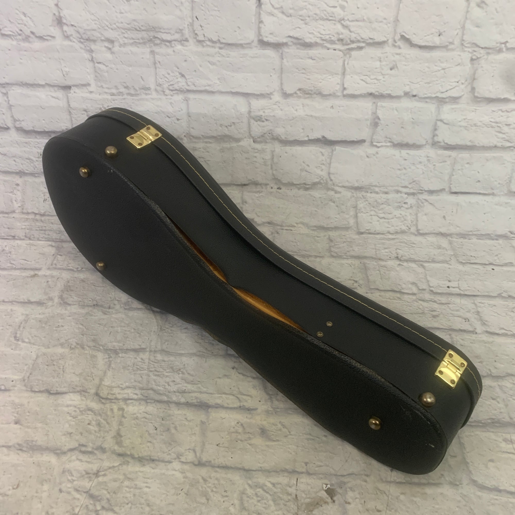 Unknown Mandolin Case Mandolin Case