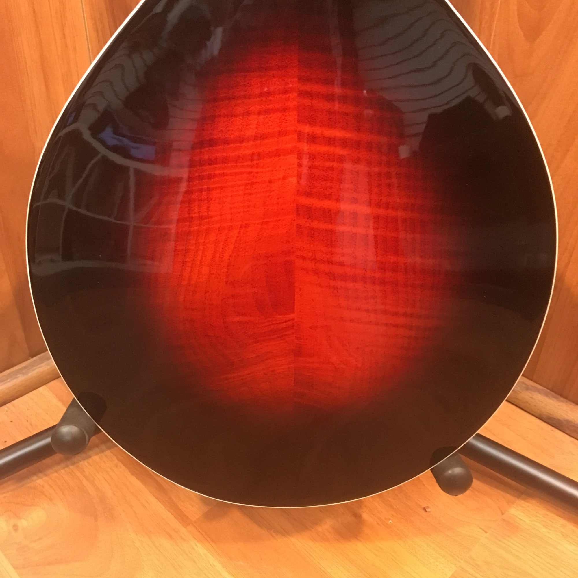 Michael Kelly AO A Mandolin