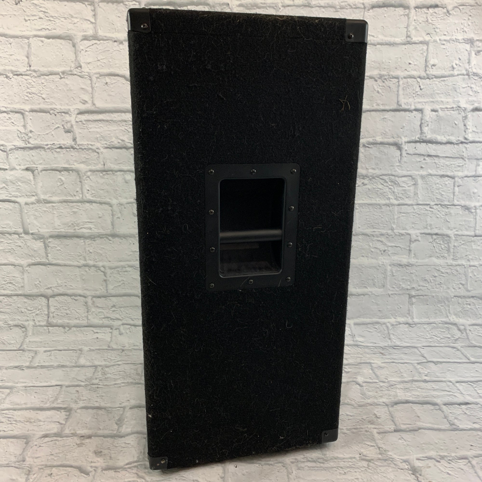 Peavey PV115 Passive Speaker - Evolution Music