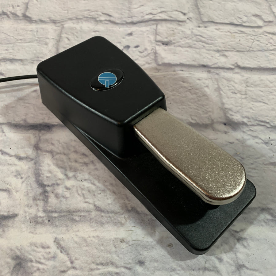 Unknown Keyboard Sustain Pedal
