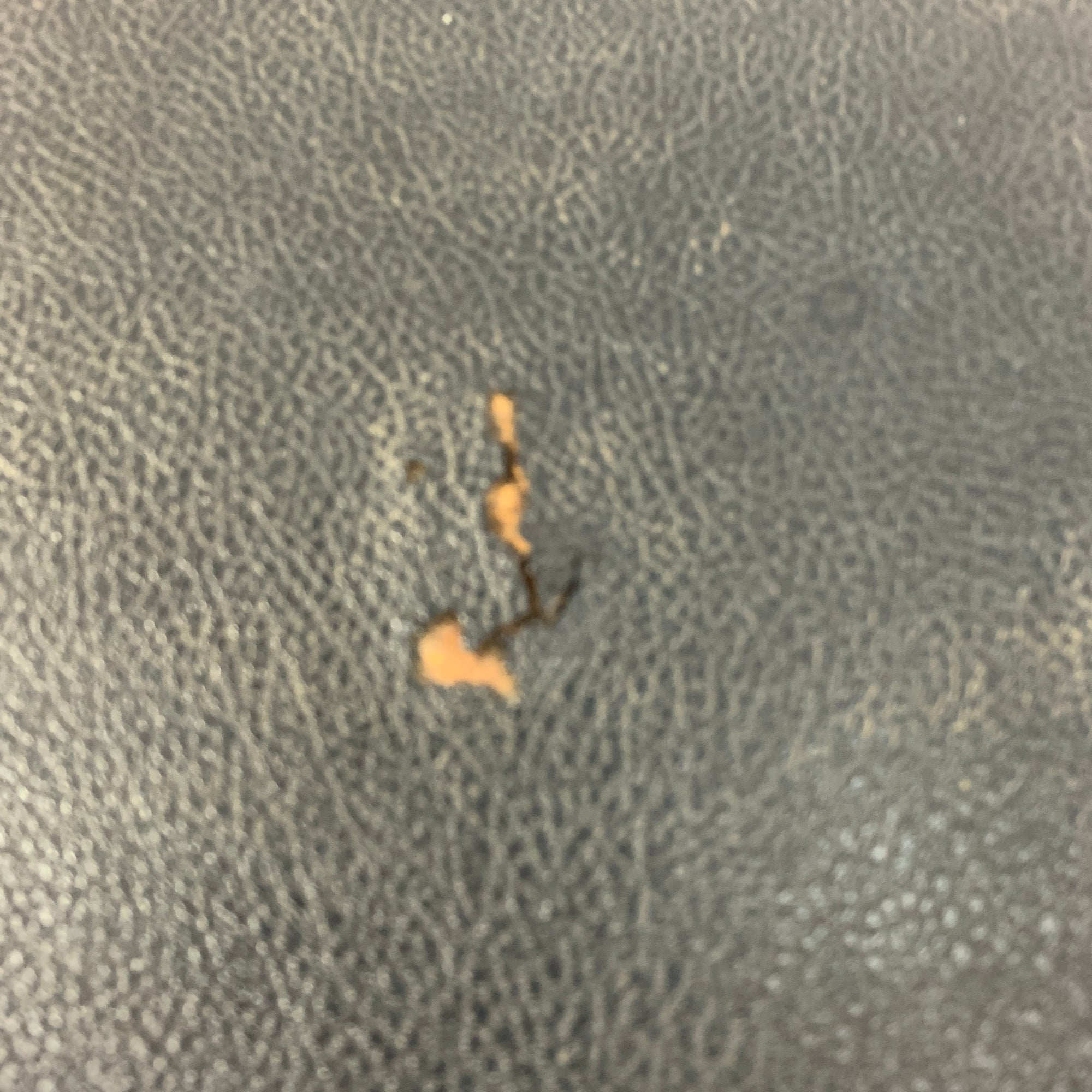 Vintage Acoustic 150 Bass Amp Head