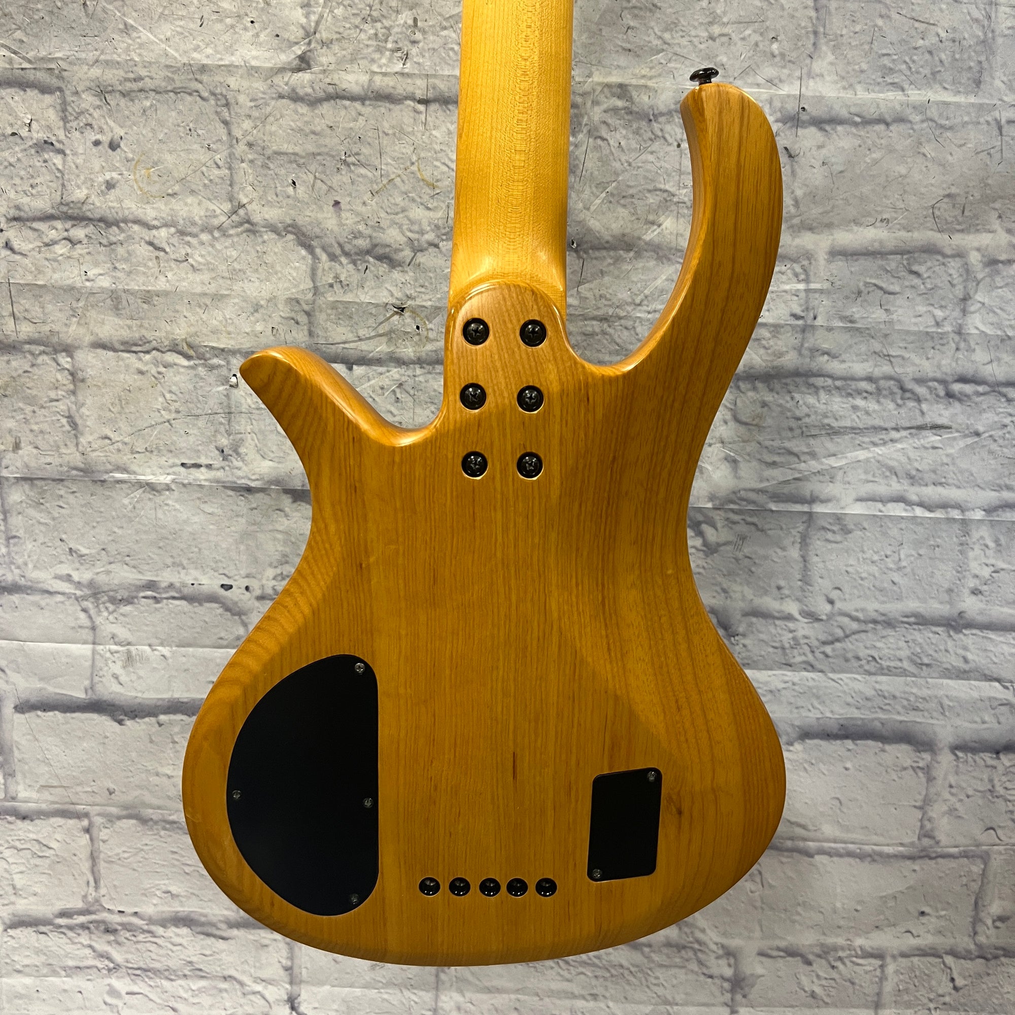 Schecter Riot 5 5-String Bass