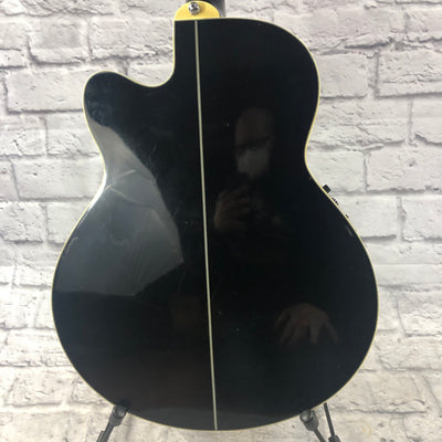 Ibanez AEL10E Acoustic Electric Guitar