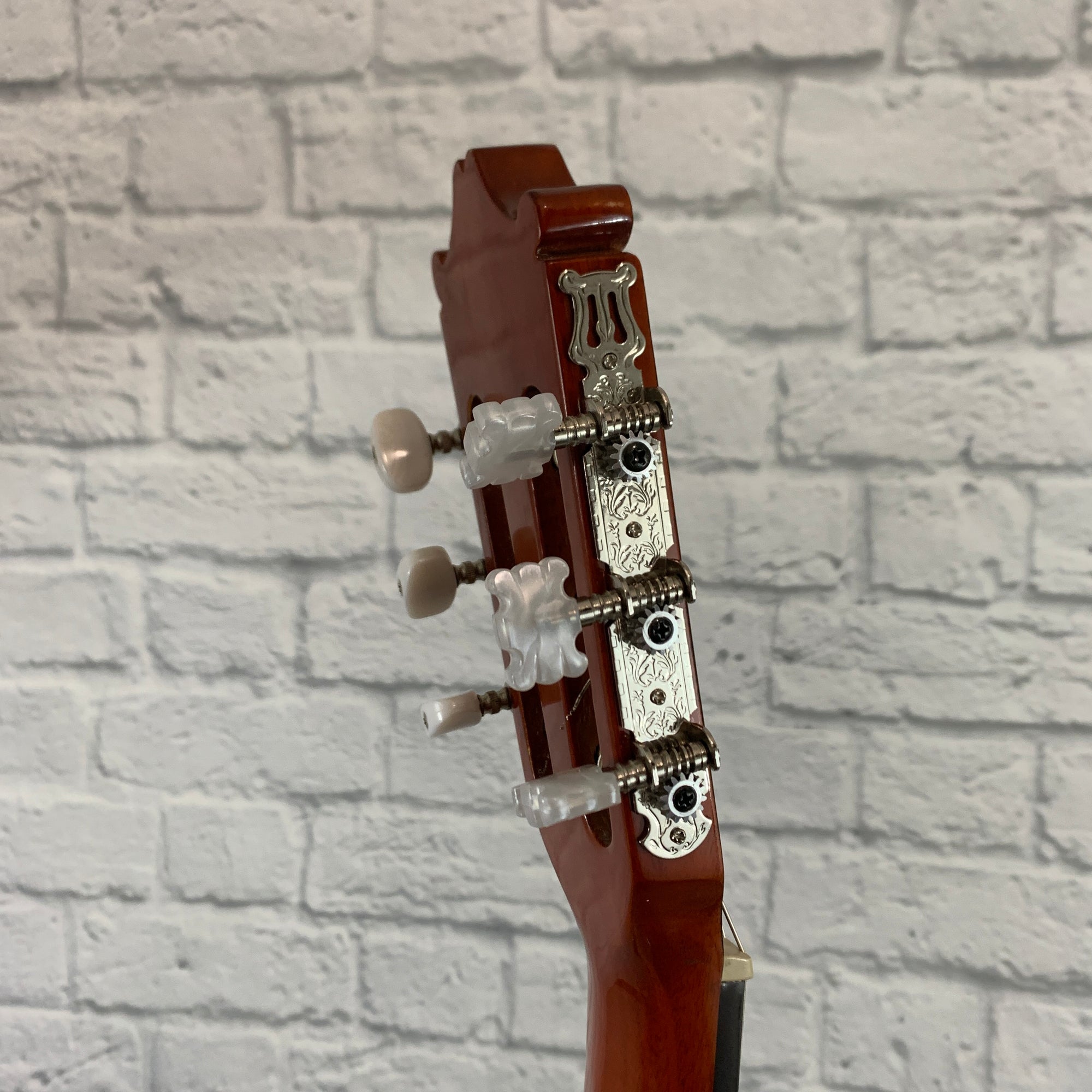 Ibanez GA3-AM Classical Acoustic Guitar