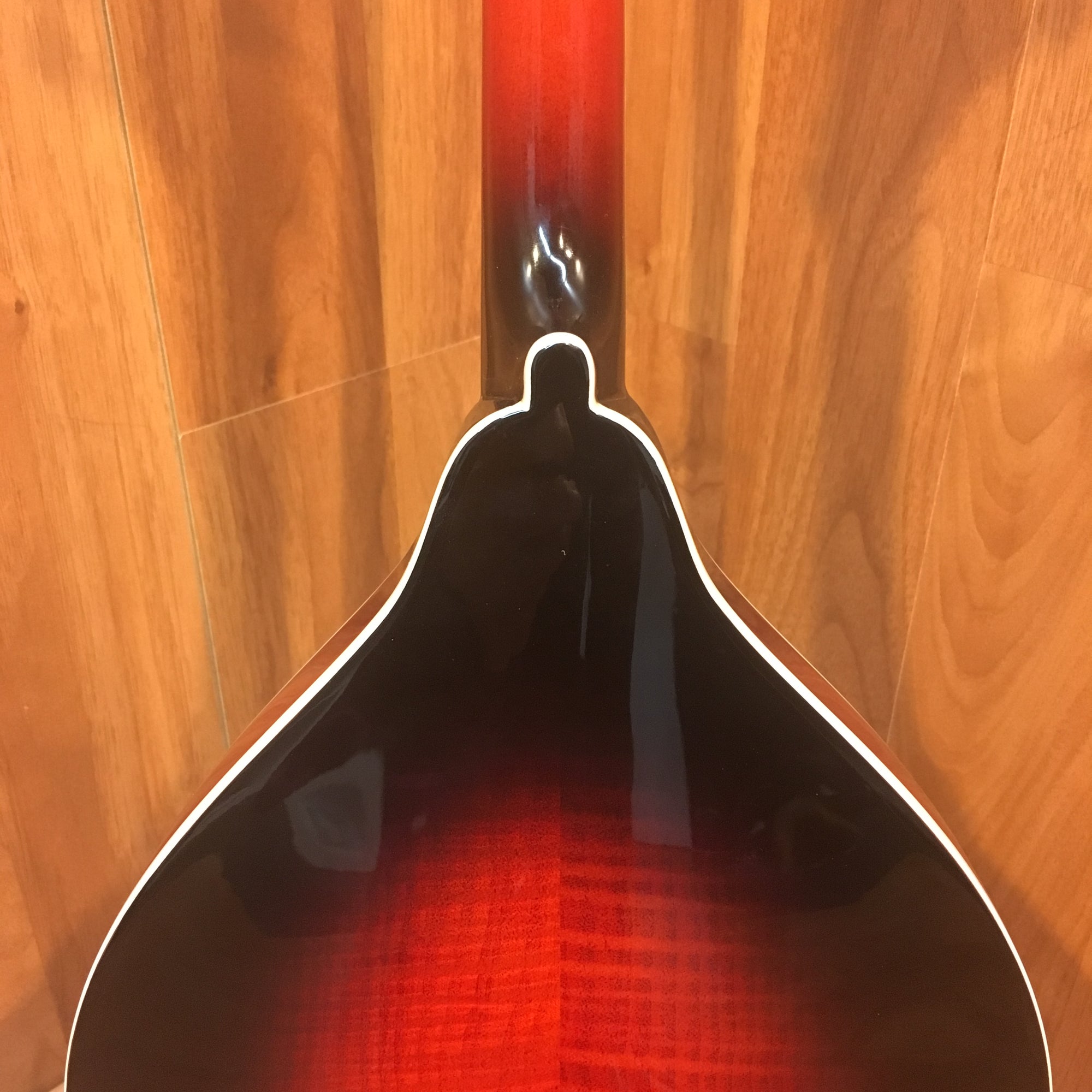 Michael Kelly AO A Mandolin