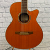 Salvador Ibanez AEG10NE Classical Acoustic-Electric Guitar