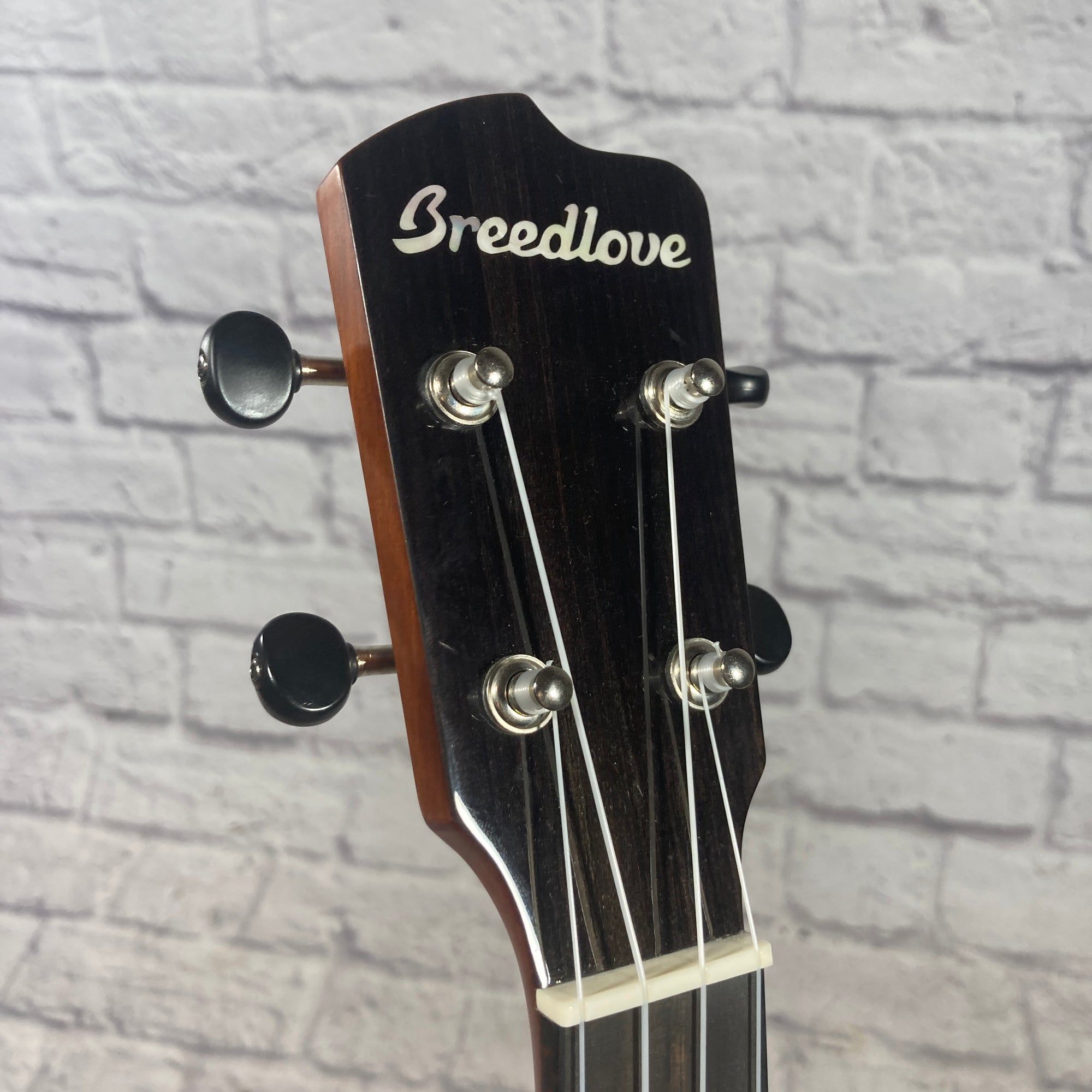 Breedlove Pursuit Ex CU CE BO