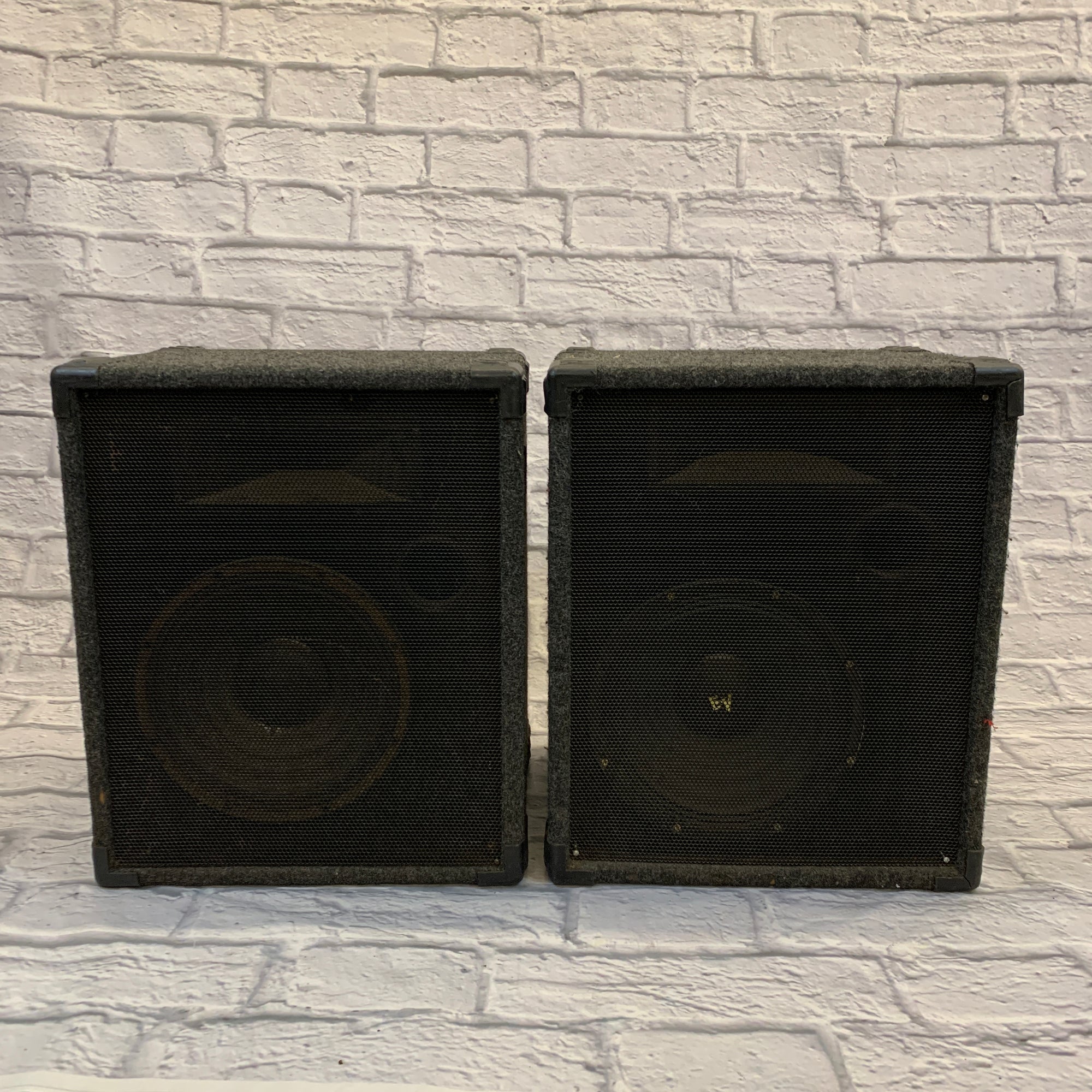 Special 2532 Passive 12" Speaker Pair