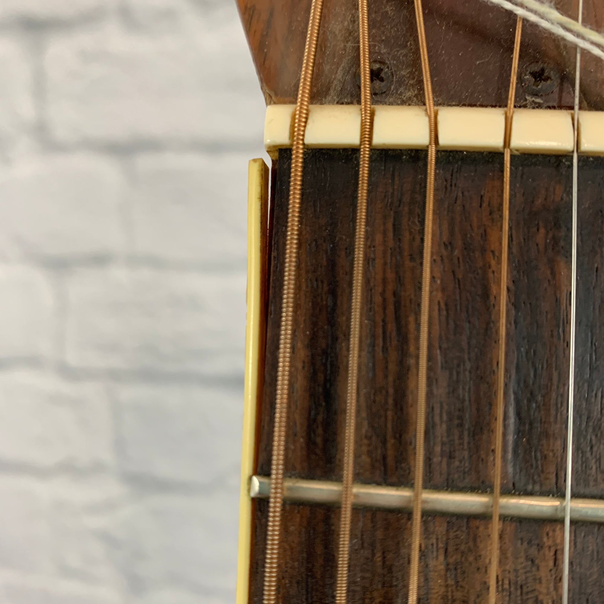 Fender F-65 Acoustic Guitar