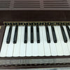 Vintage 1960s Magnus Super Deluxe Electric Chord Organ