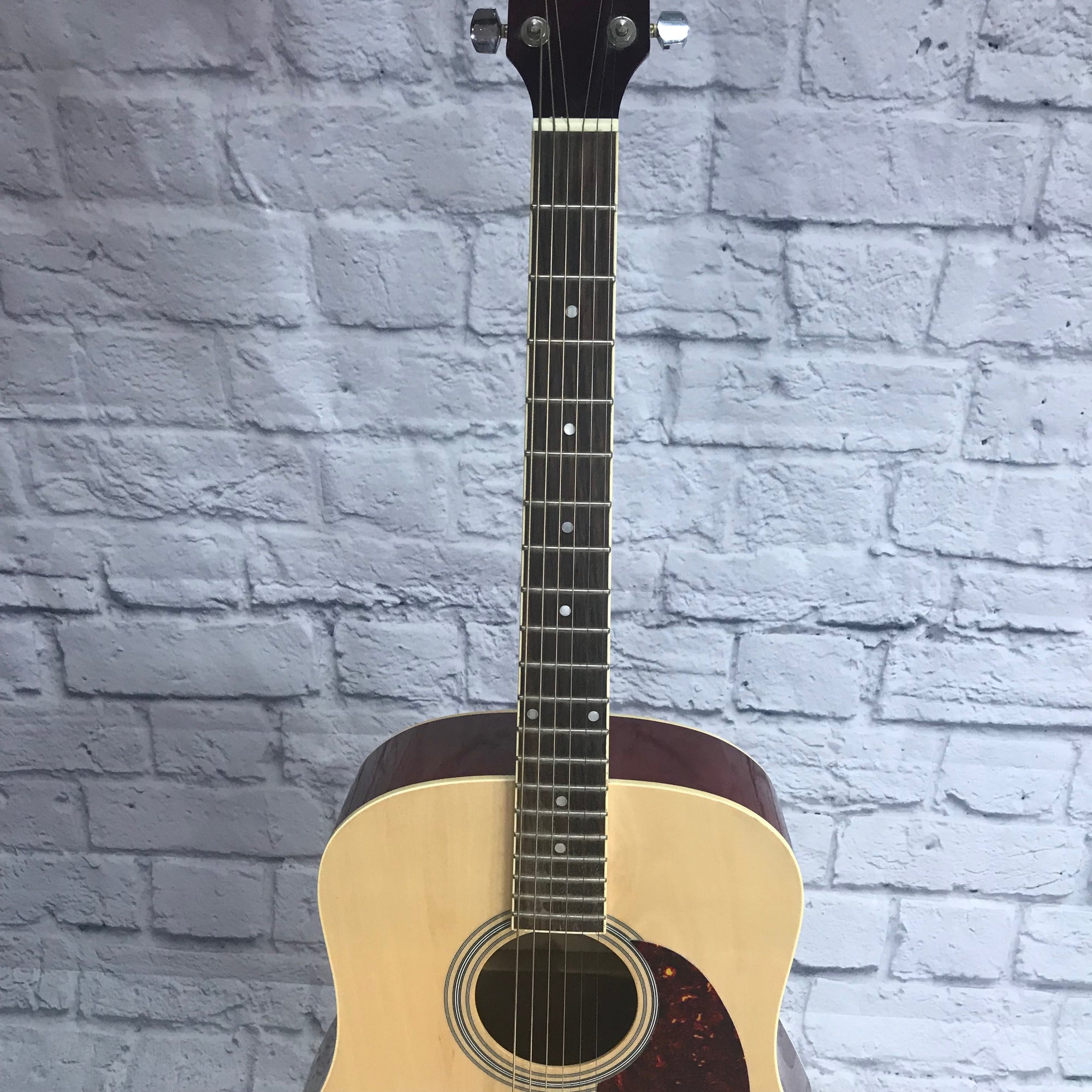 Carlo Robelli CBW410N Acoustic Guitar
