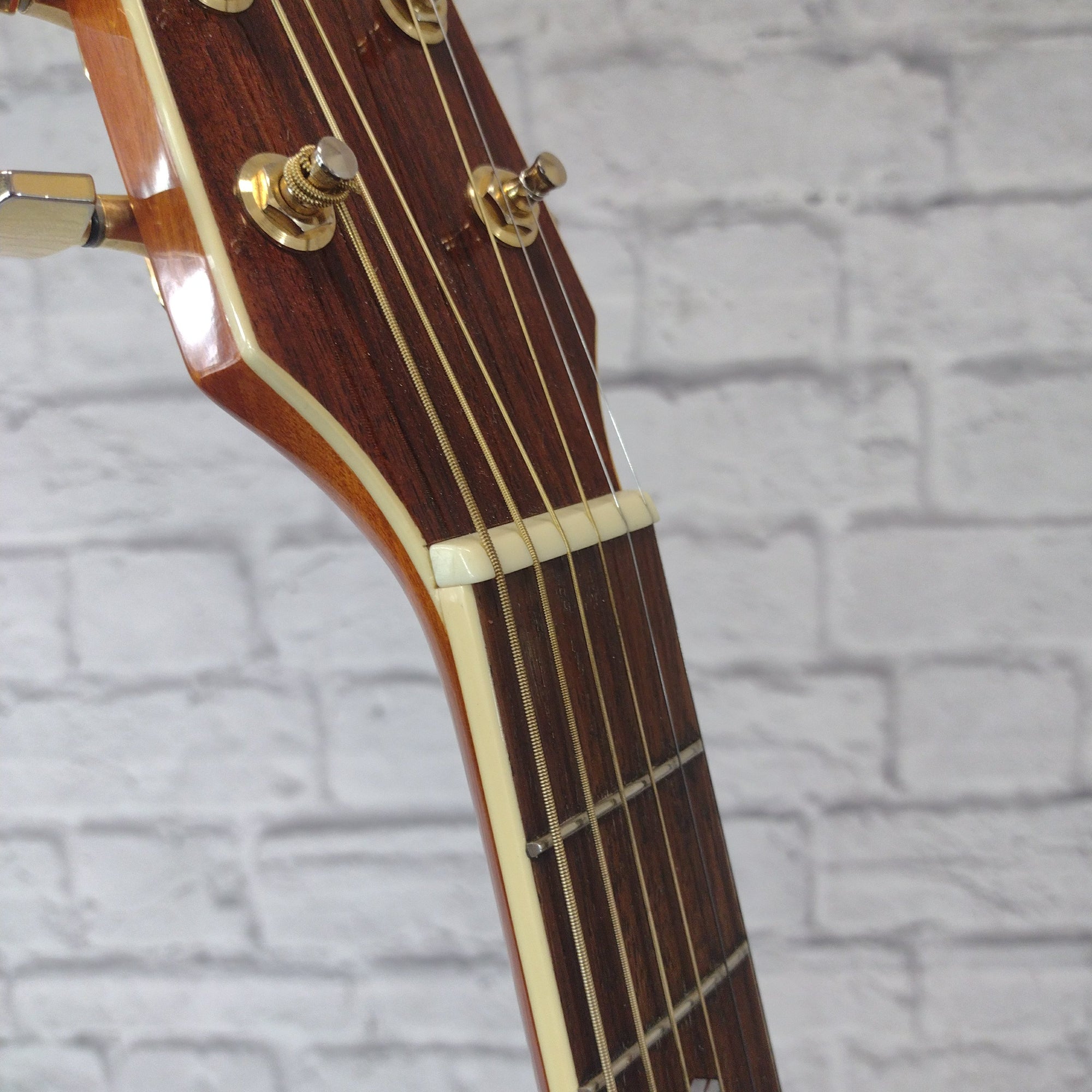 Washburn 値下げ！ 1985_Washburn_A_20V_Black-