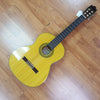 Ibanez GA30GY Classical Acoustic