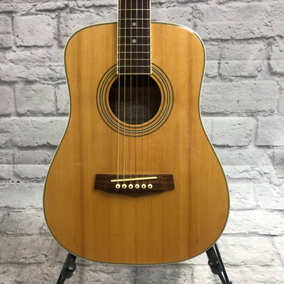 Ibanez DT10NT Daytripper Travel Acoustic Guitar