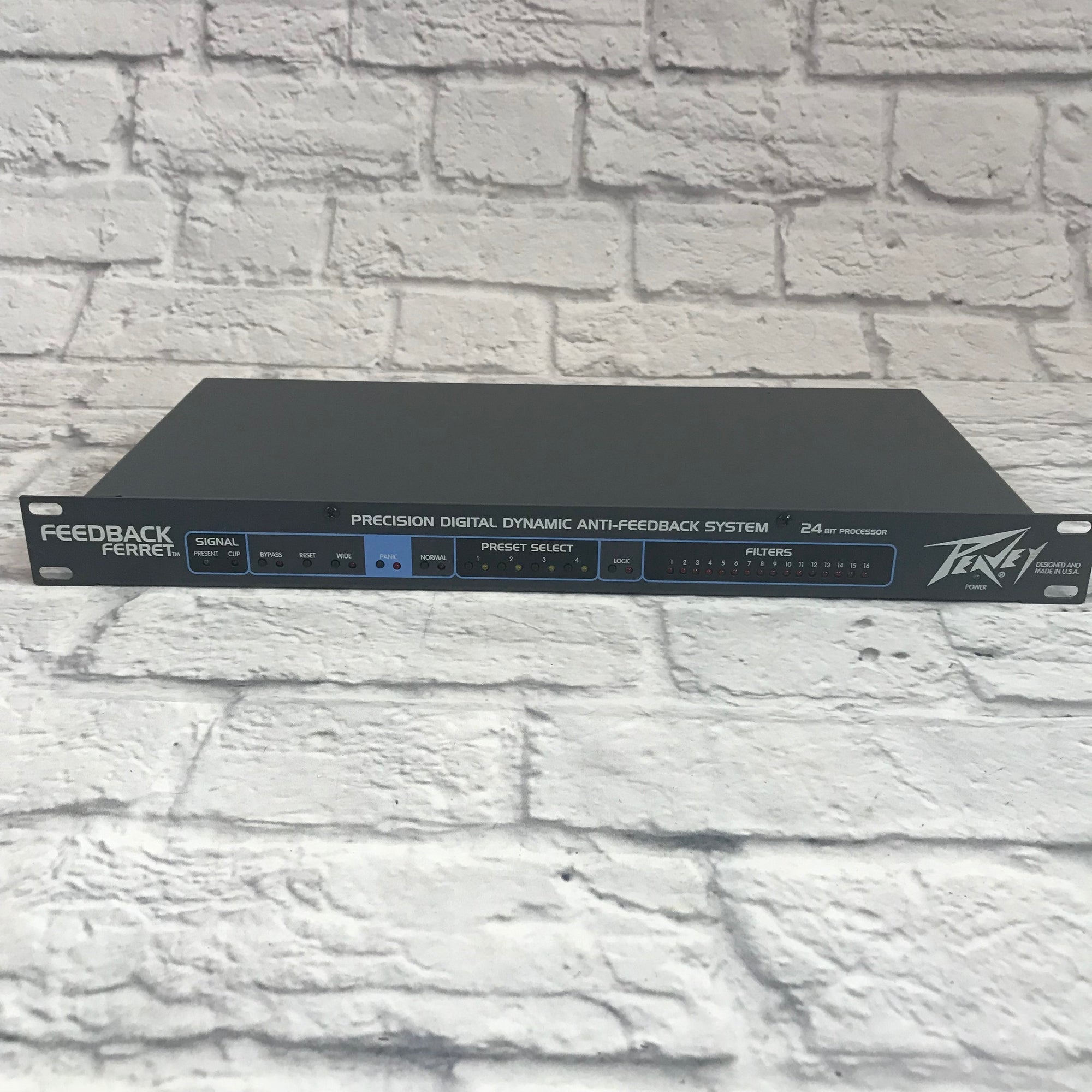 Peavey Feedback Ferret II
