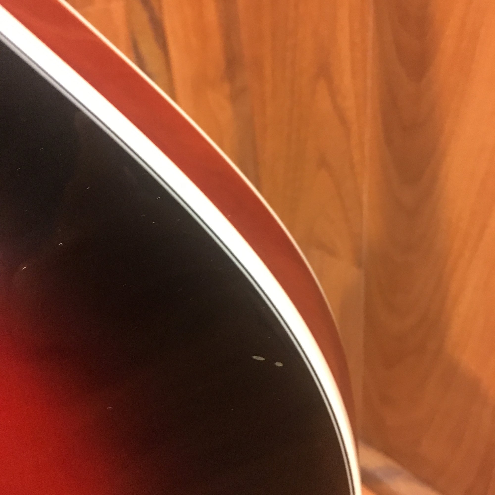 Michael Kelly AO A Mandolin