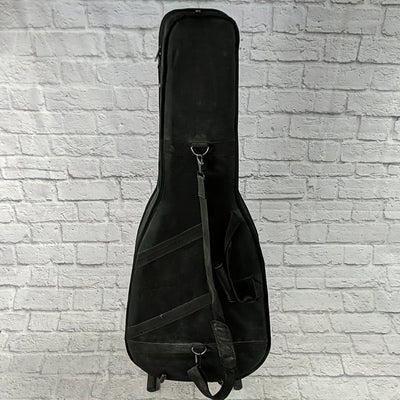 Unknown Foam Case  Acoustic Guitar