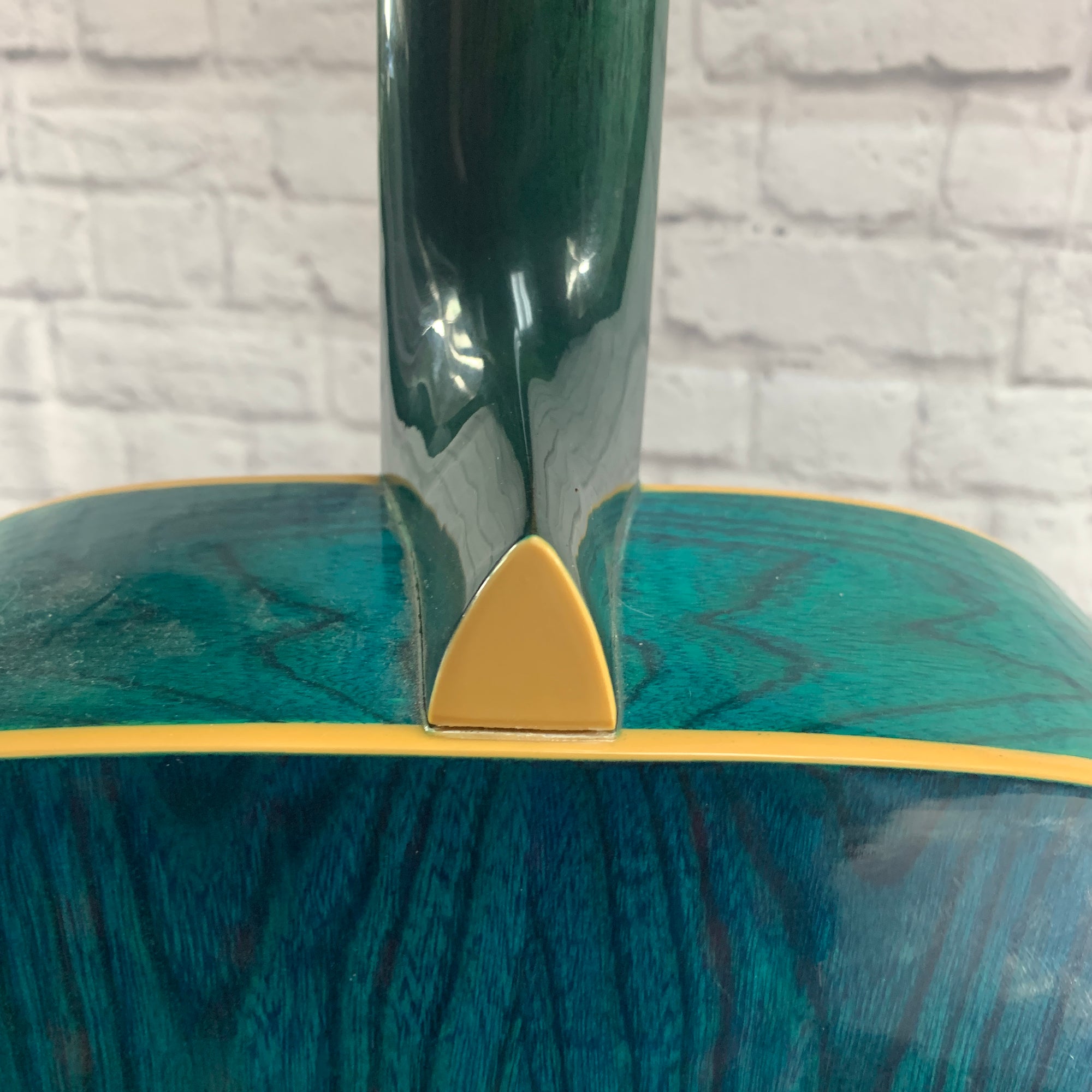 Washburn D-11 TEL Dreanought Acoustic Guitar