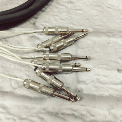 ProCo Acculink AC-8 (AC8) 1/4" to 1/4" Patch Snake Cable 10ft 10'
