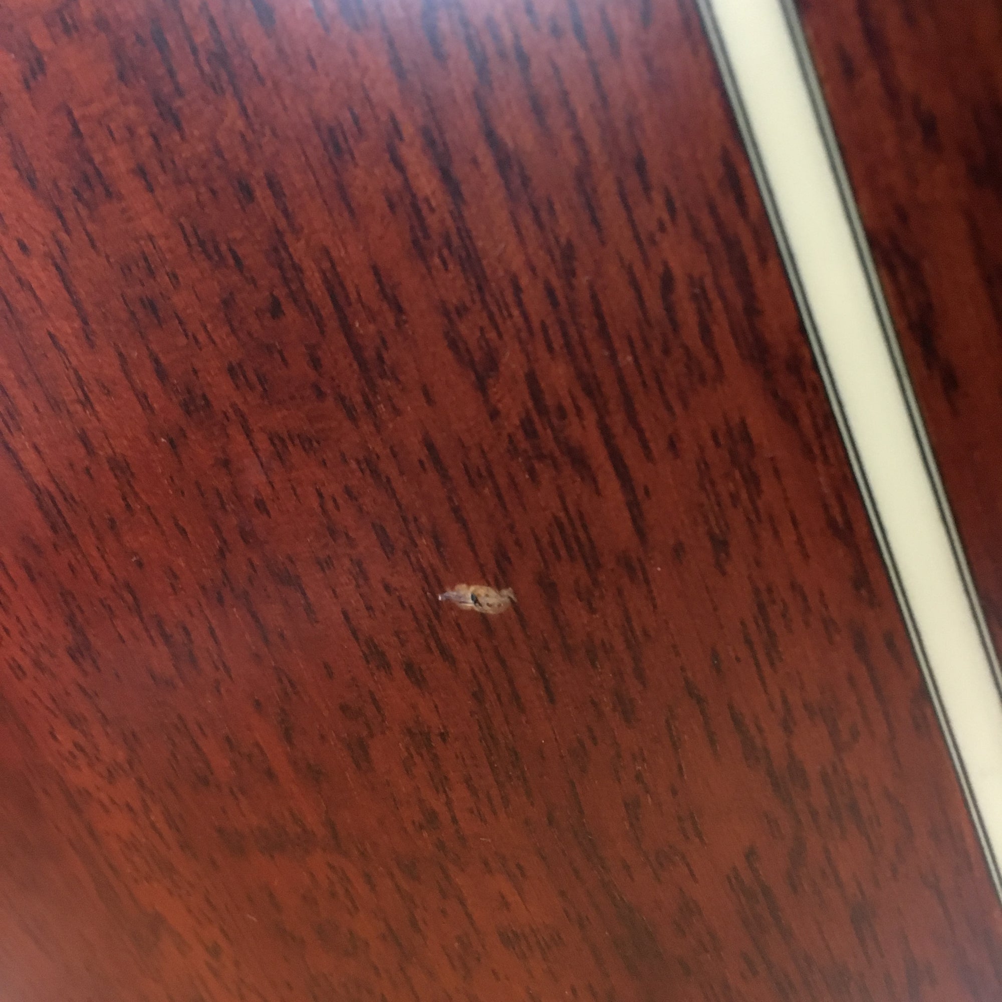 Dean Performer CE Acoustic Electric Bass