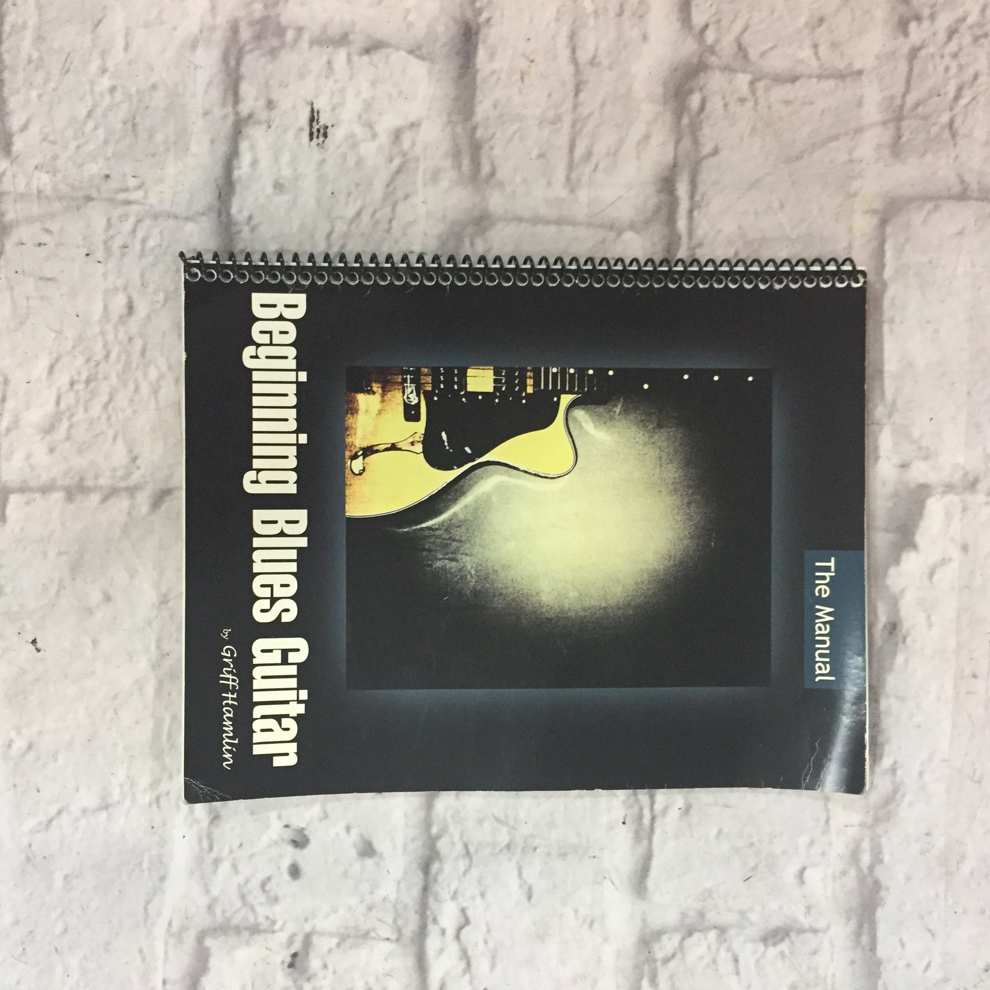 Beginning Blues Guitar book