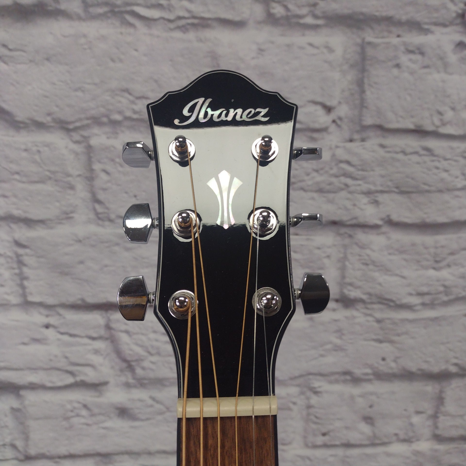 Ibanez AEG50 BK Acoustic-Electric Guitar