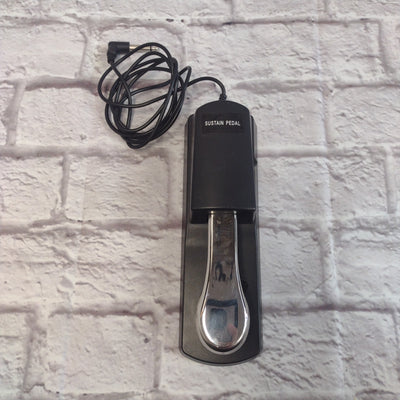 Radio Shack Keyboard Sustain Pedal